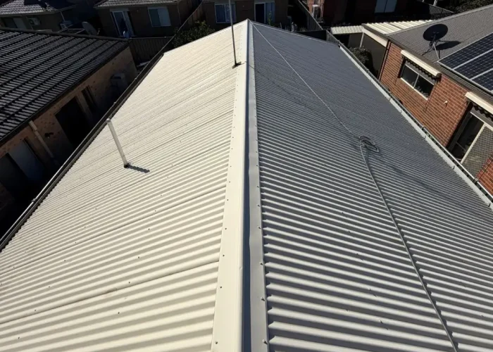 Residential Roof Cleaning