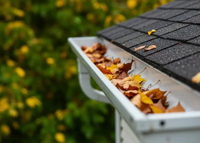 Downpipe & Drainage Checks